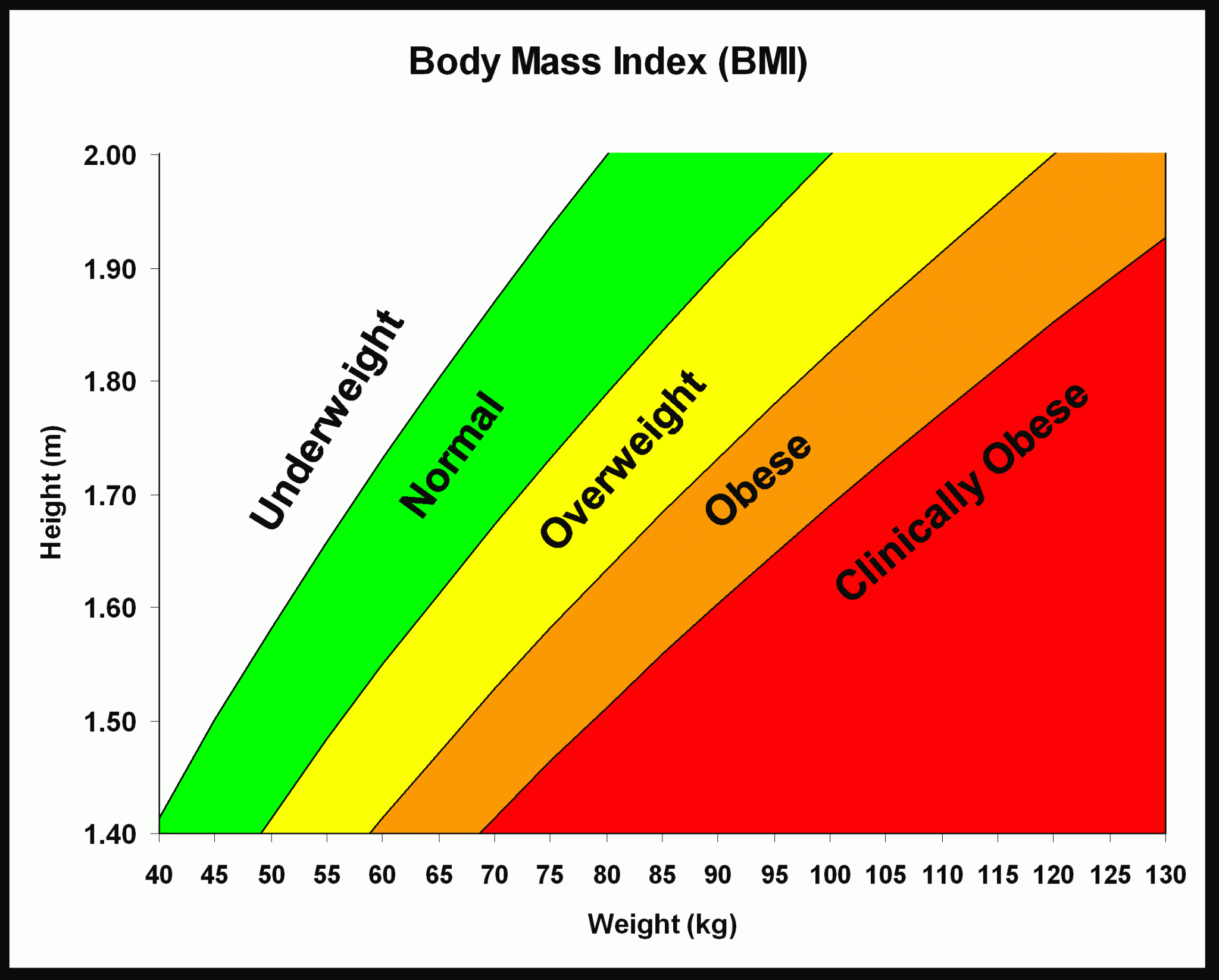 BMI Calculator Just Run Lah 