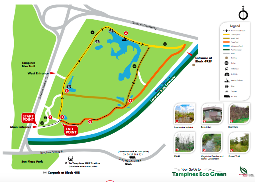 Eco Park Tampines - Page 15 - Personals - Blowing Wind Singapore Gay Forum