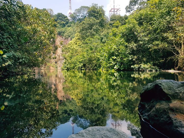 Exotic location for a run/walk: Bukit Batok Nature Park | JustRunLah!