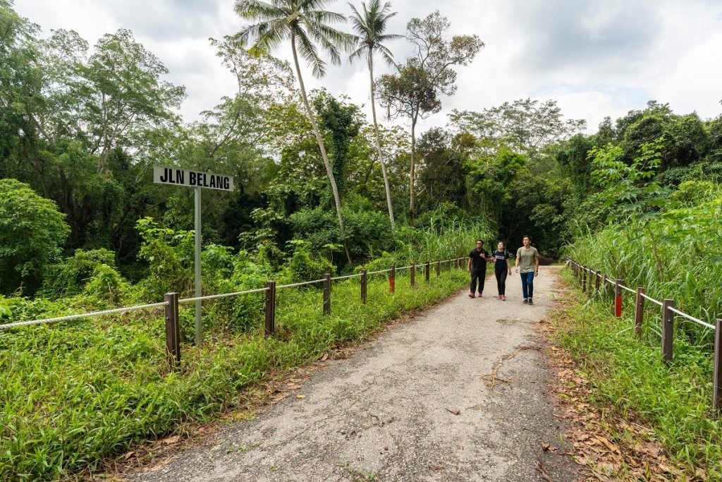 Thomson Nature Park Singapores 7th Nature Park Now Open And Is